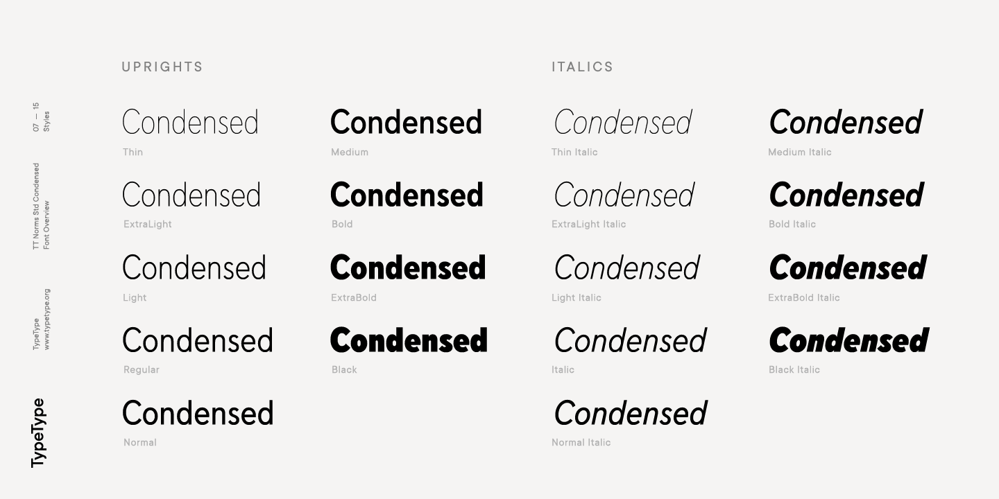 Example font TT Norms Std Condensed #9